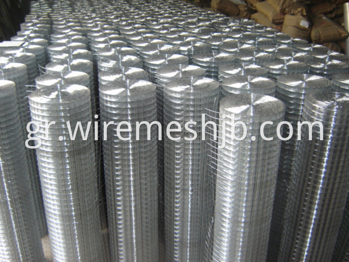 Galvanized Welded Wire Mesh 